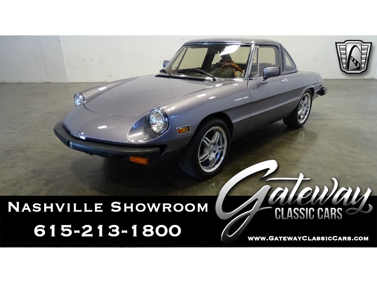 1981 alfa romeo spider