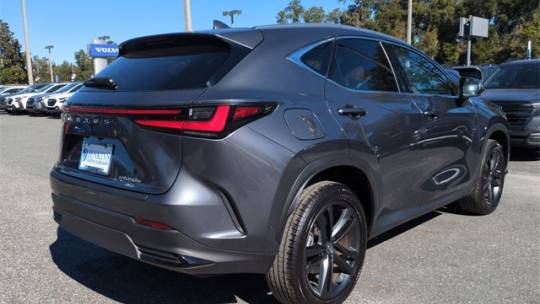 2025 Lexus NX