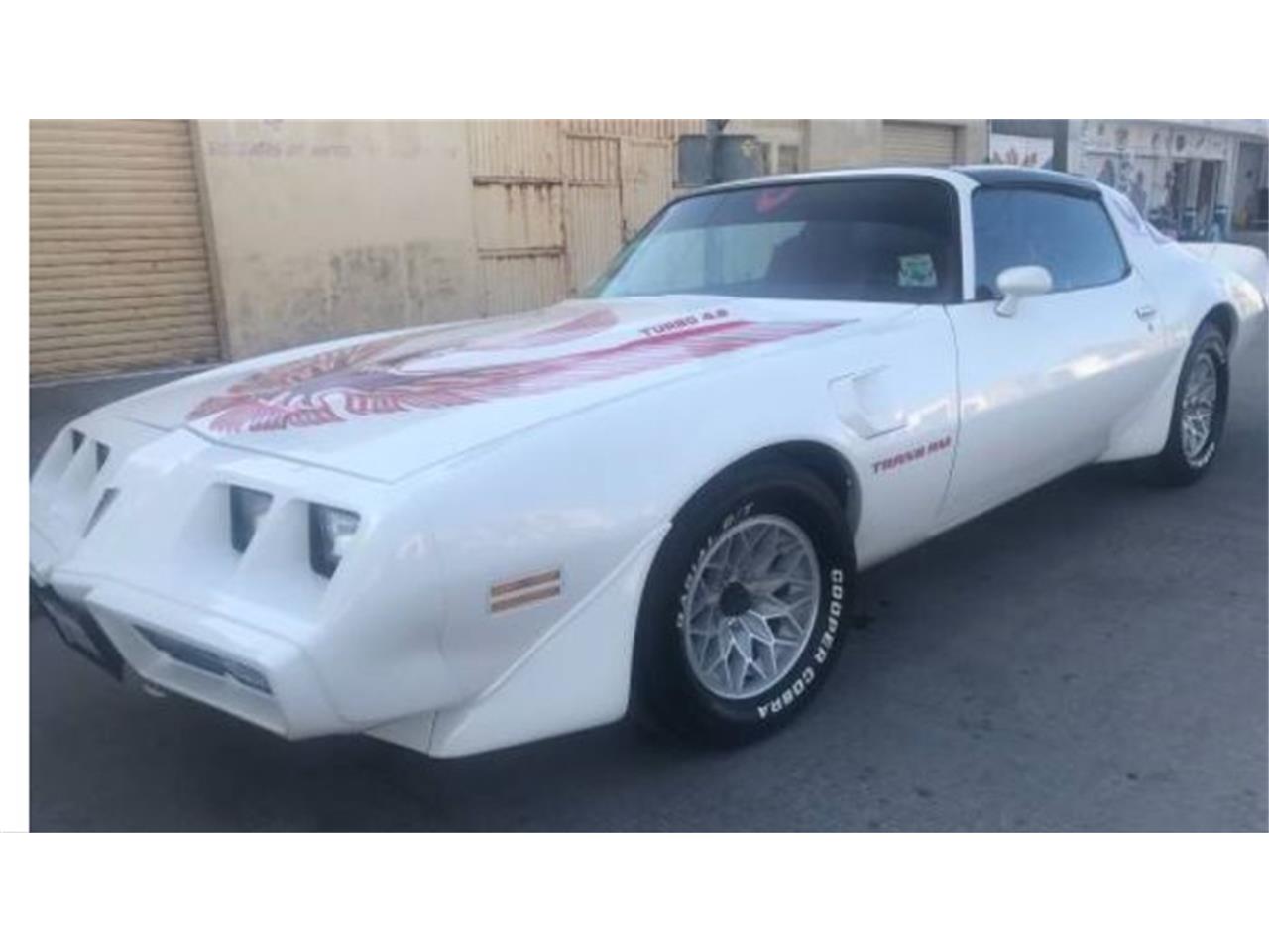 1981 pontiac firebird trans am