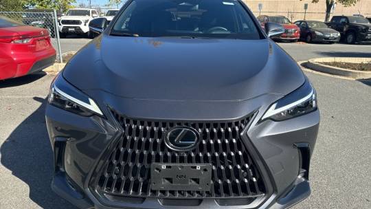 2024 Lexus NX