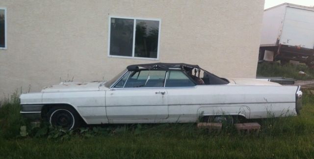 this car has been parked outside since 1999. it was fully functional