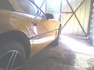corvette