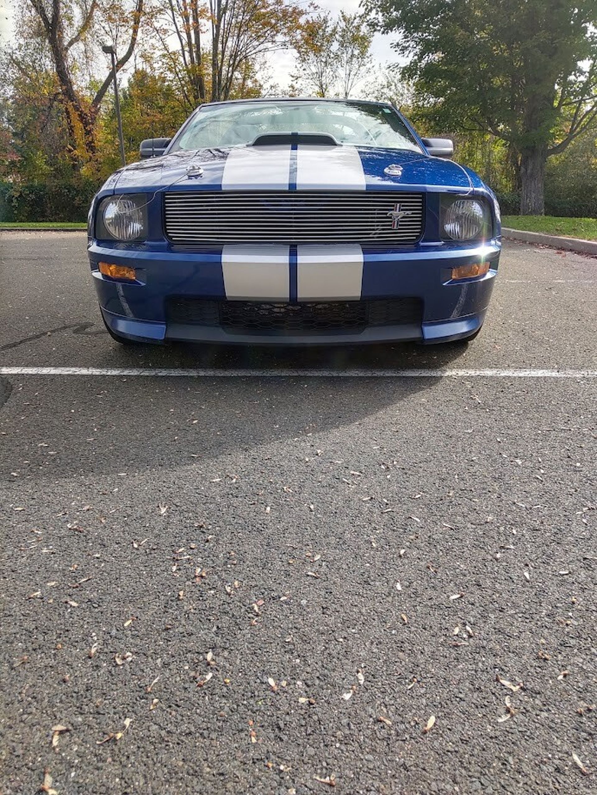 2008 ford mustang shelby gt convertible with a five-speed
