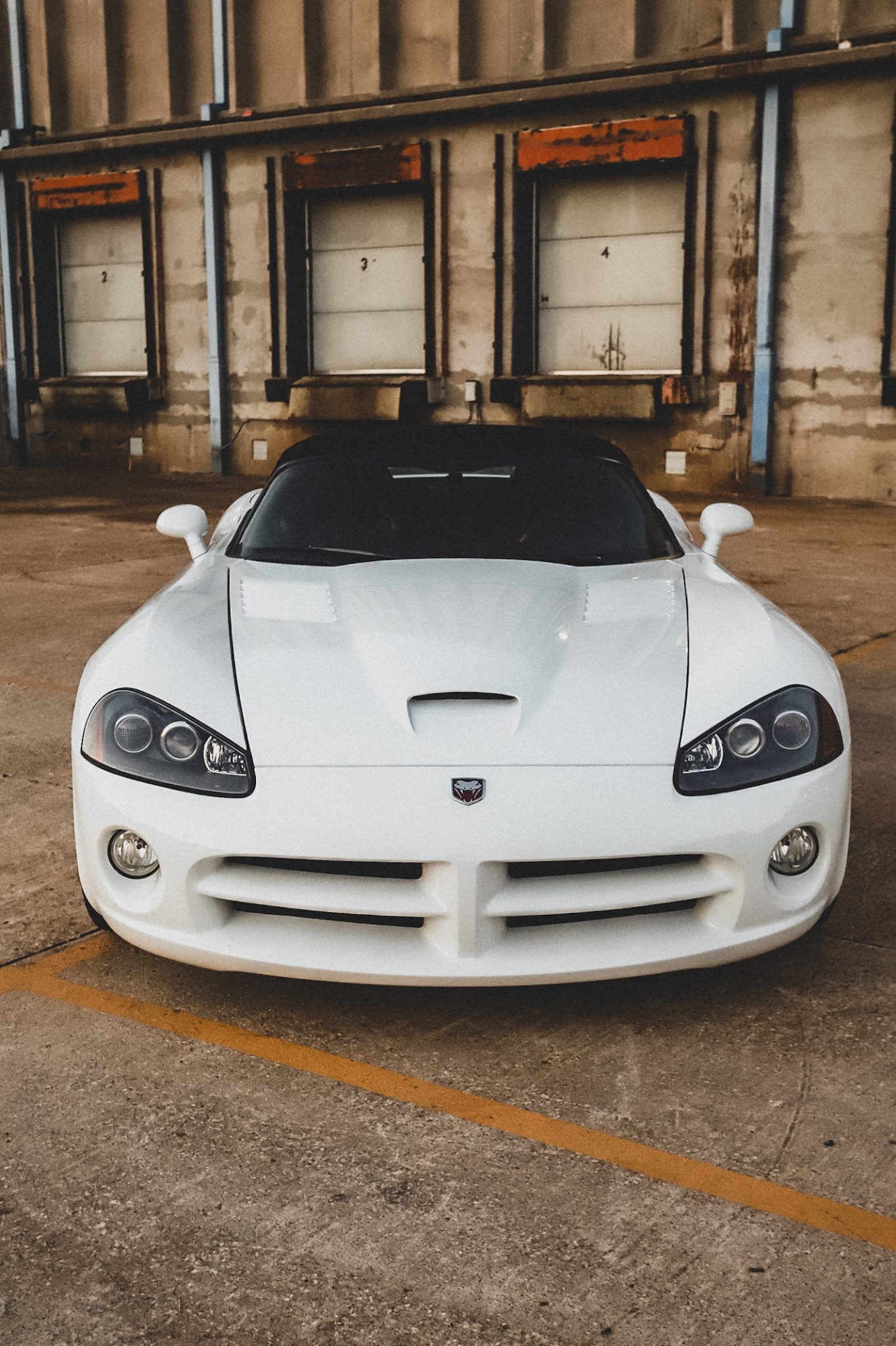 2004 dodge viper mamba edition