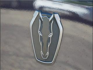 2024 Ford Mustang dark horse