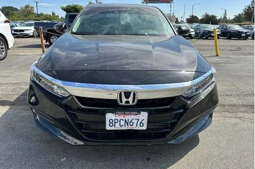 2020 honda accord