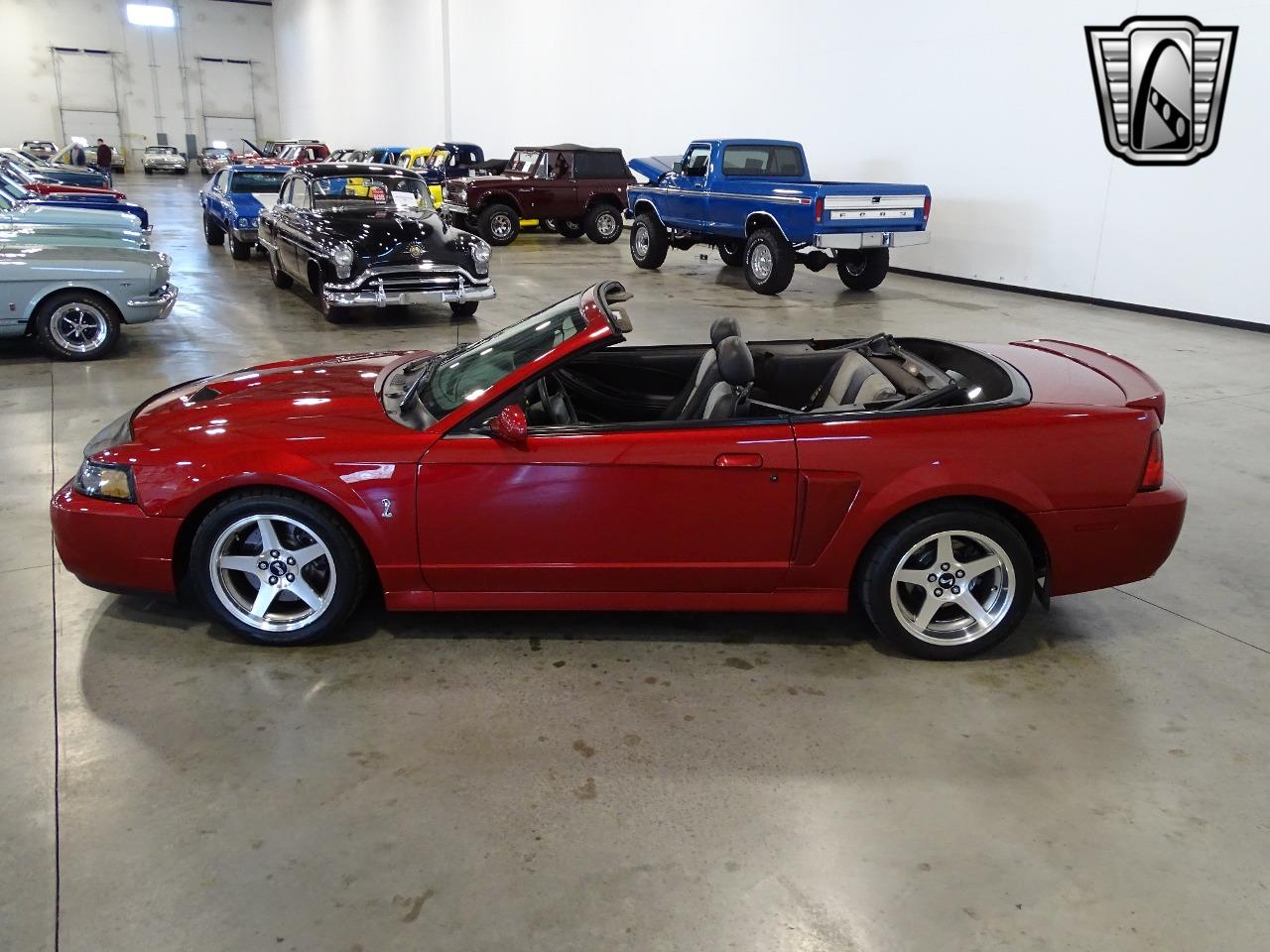 2003 ford mustang