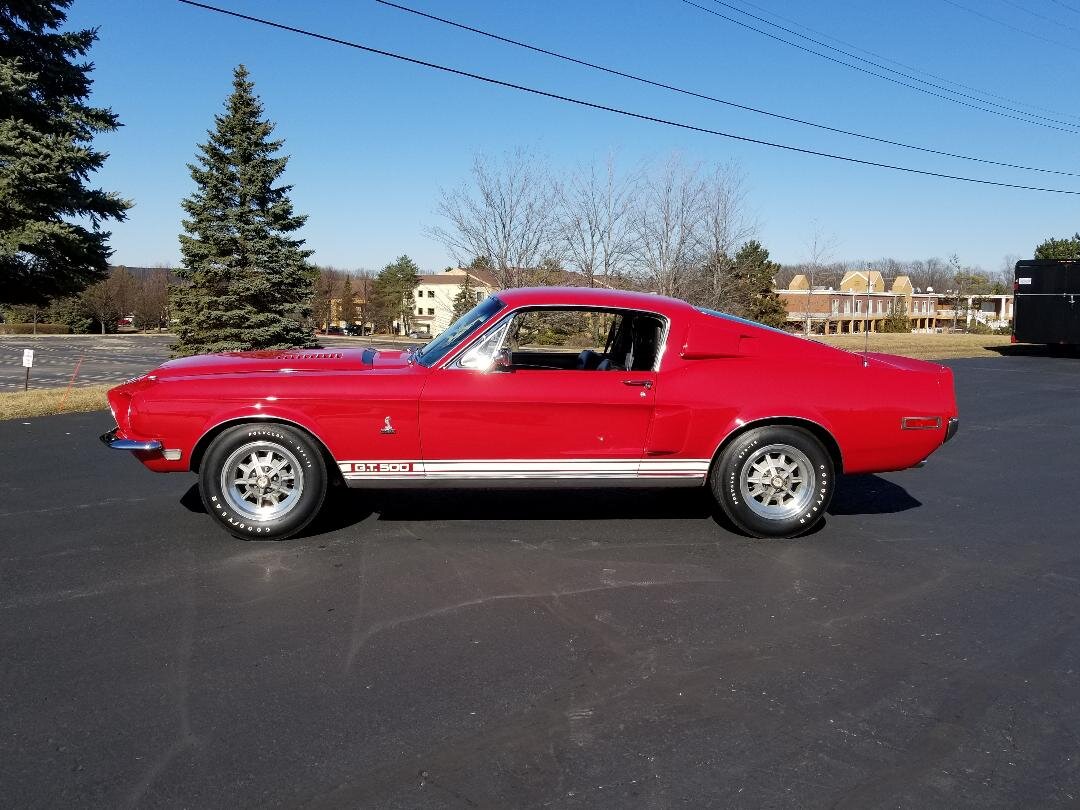 shelby mustang gt500