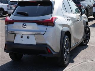 2019 Lexus UX base
