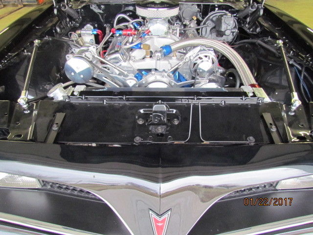 1977 pontiac trans am special edition