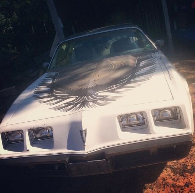 1980 pontiac trans am (indy pace car model)