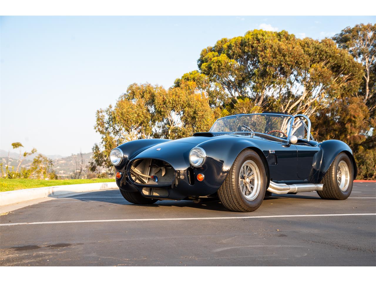 shelby cobra