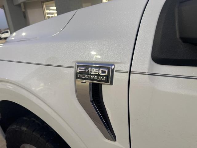 2021 ford f-150 platinum