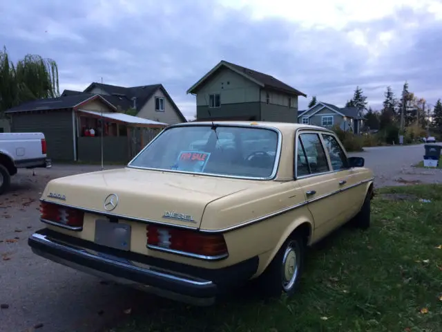 1981 mercedes benz 300d w123