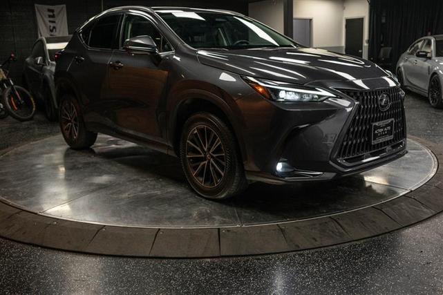 2022 lexus nx 350 premium