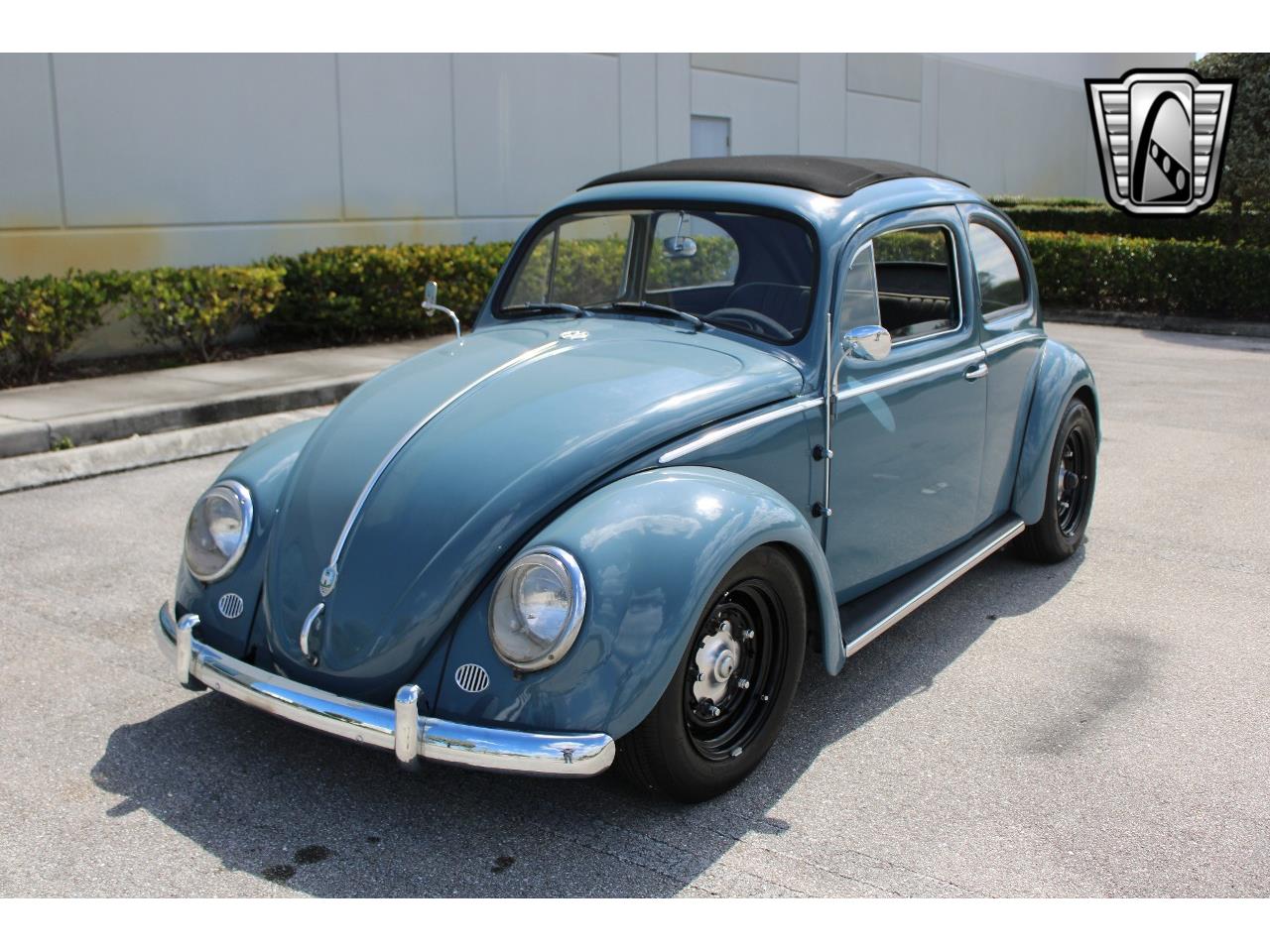 1959 volkswagen beetle
