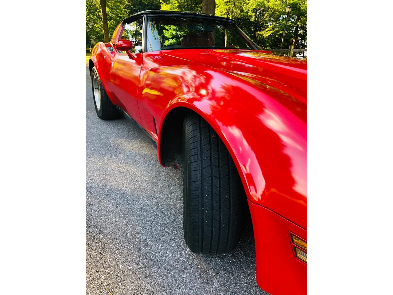 1981 chevrolet corvette