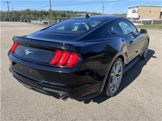 2021 Ford Mustang ecoboost