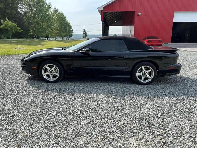 1998 pontiac firebird trans am ws6 in champlain, new york