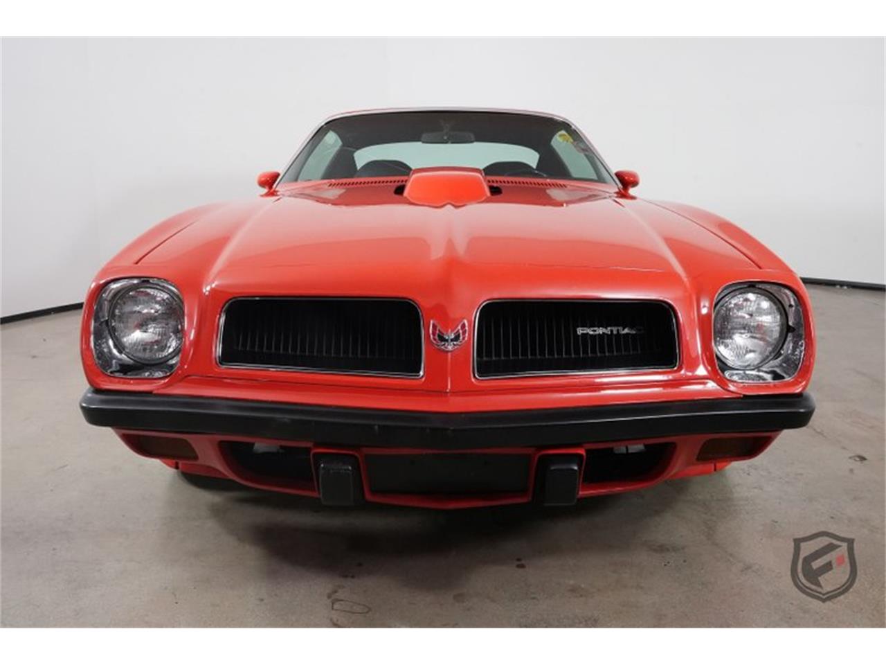 1974 pontiac firebird trans am