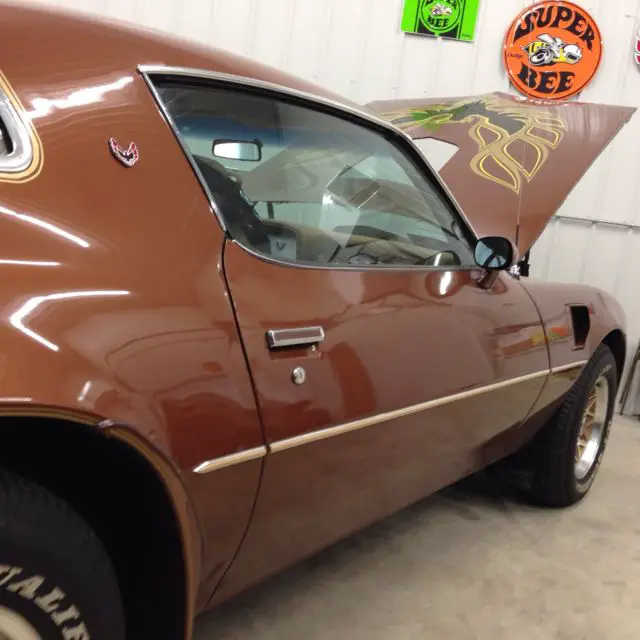 1978 pontiac firebird trans am survivor