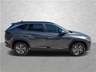 2024 Hyundai Tucson blue