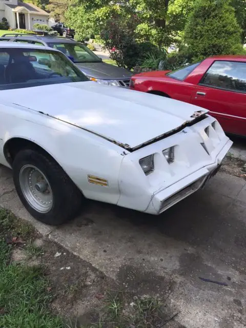 1980 pontiac firebird coupe 2-door 4.9l no reserve!