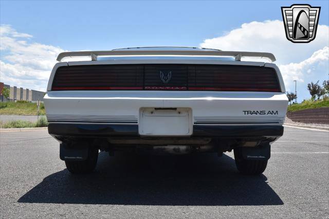 1984 pontiac firebird trans am