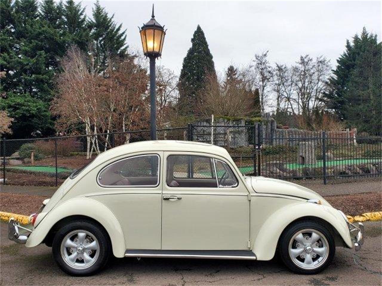 1966 volkswagen beetle