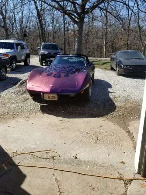 custom 77 corvette