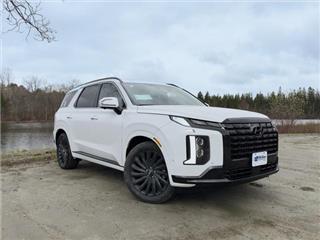 2024 Hyundai Palisade calligraphy night edition