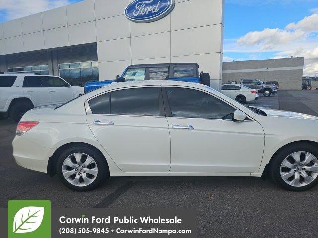 2010 honda accord ex-l