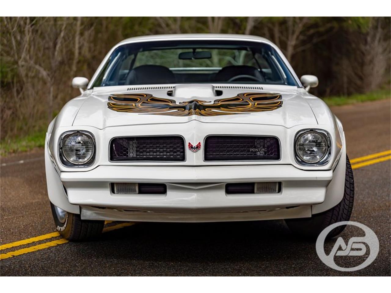 for sale: 1976 pontiac firebird trans am in collierville, tennessee for sale in collierville, tn