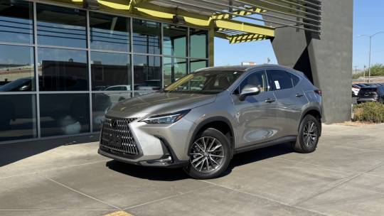 2024 Lexus NX
