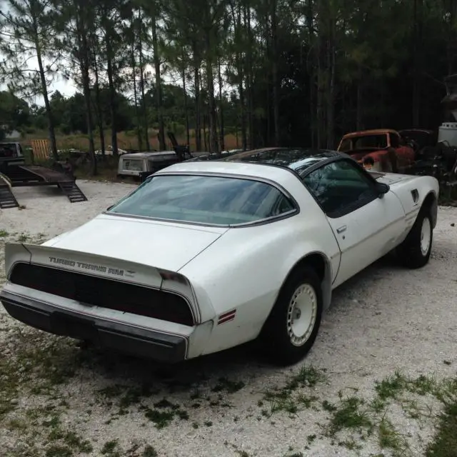 1980 pontiac trans am indianapolis pace car turbo coupe
