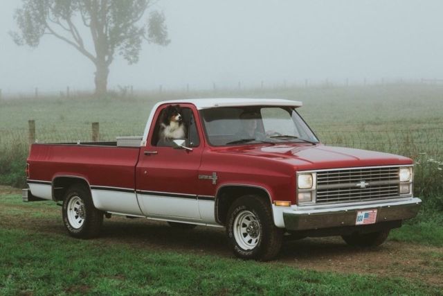 1984 chevy custom deluxe 1/2 ton long wheel base truck (stunning rare survivor)