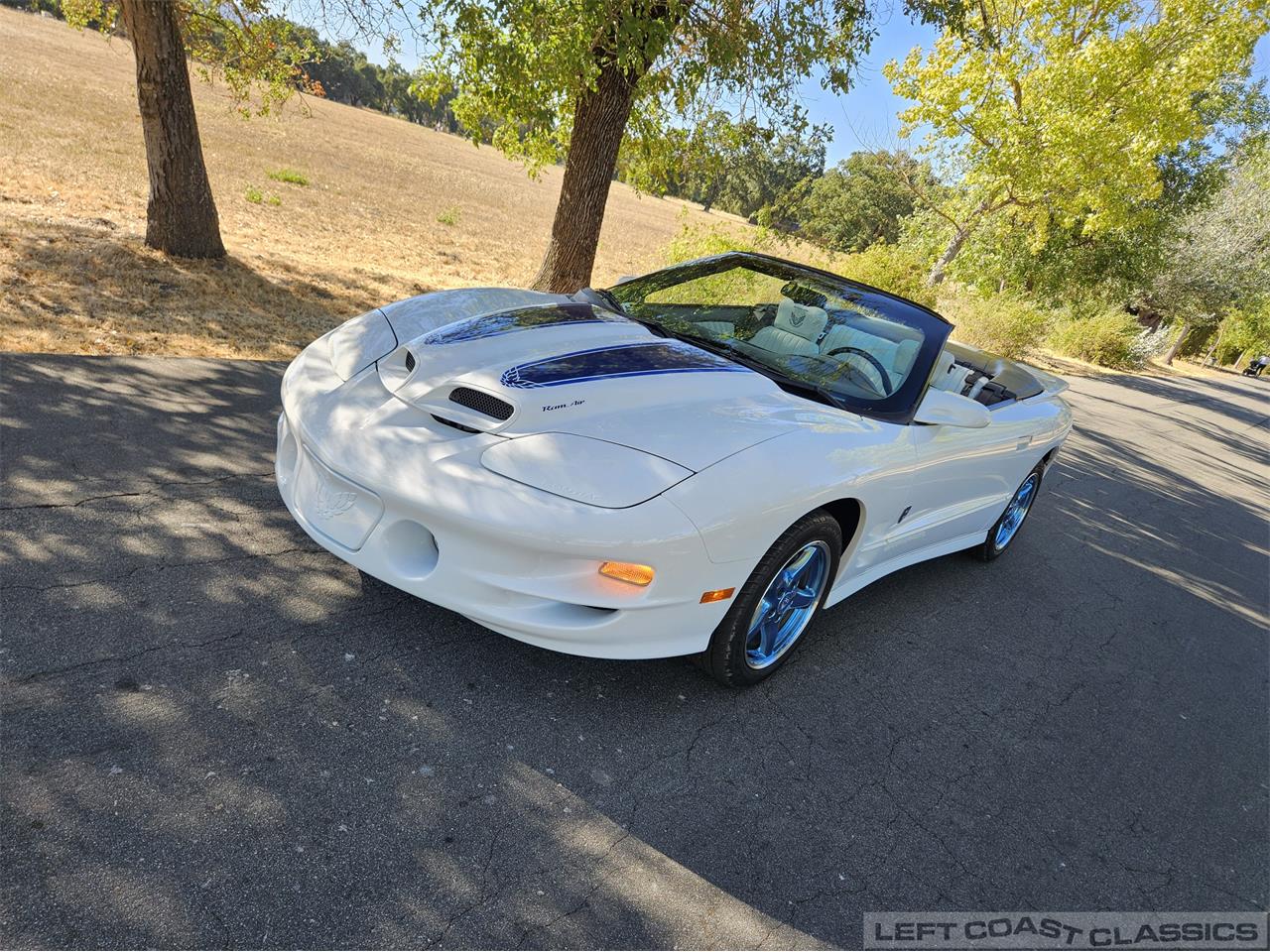 1999 pontiac firebird trans am ws6