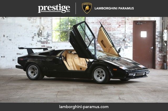 1987 lamborghini