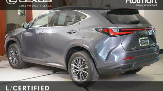 2024 Lexus NX