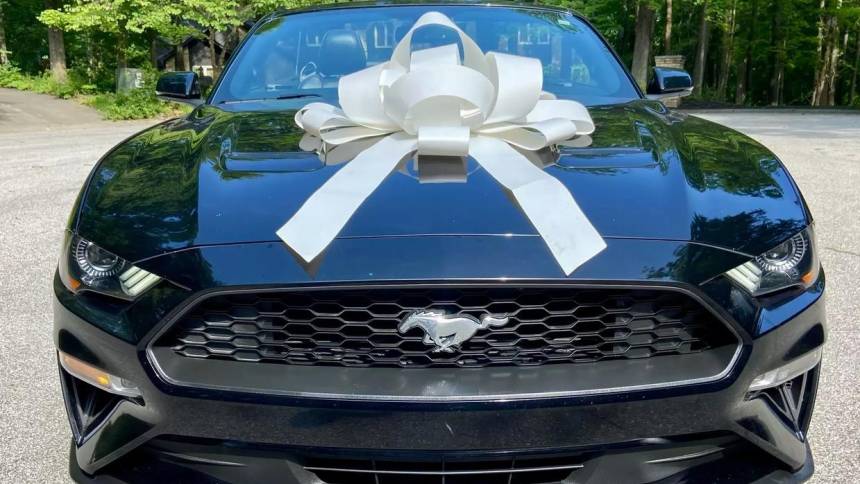 2019 ford mustang ecoboost
