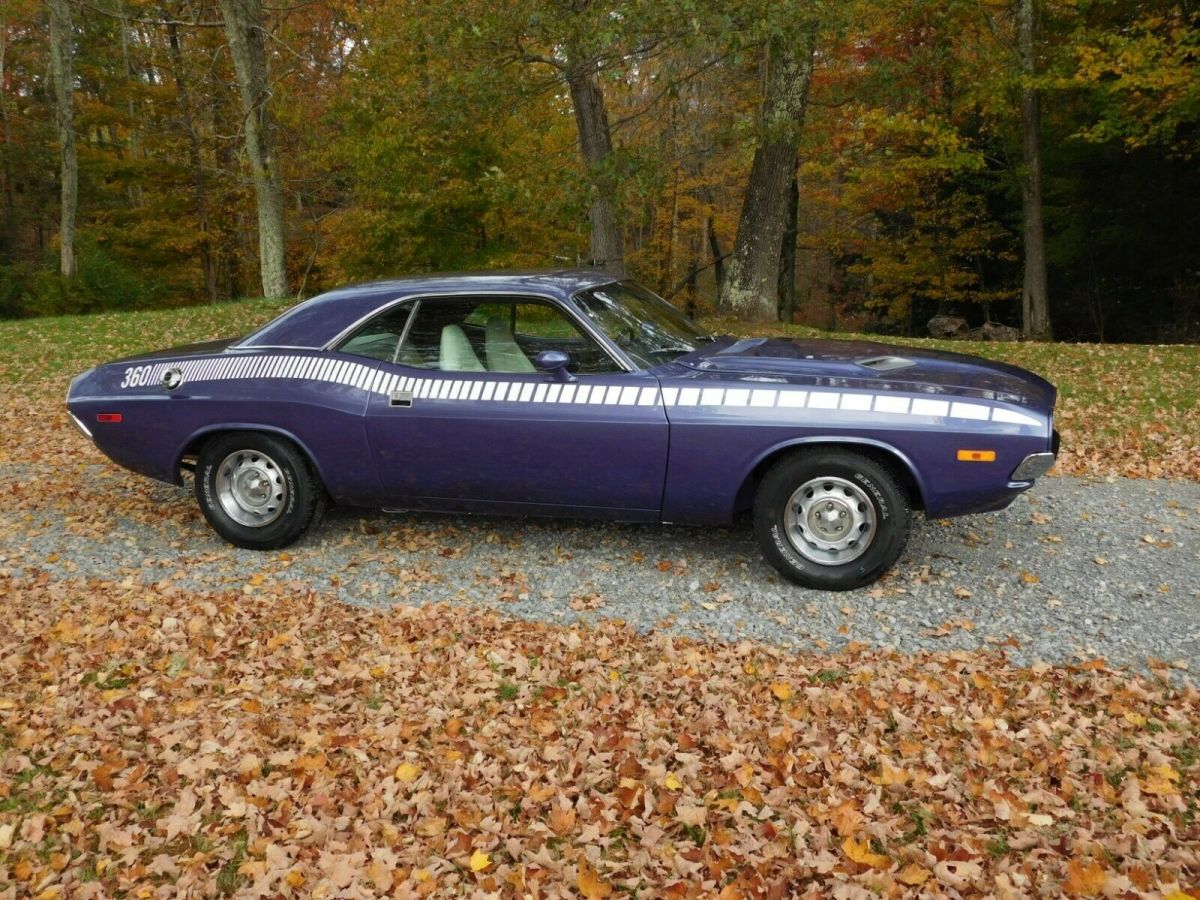 very clean rotisserie restored early challenger! 99% done!!! thousands spent!