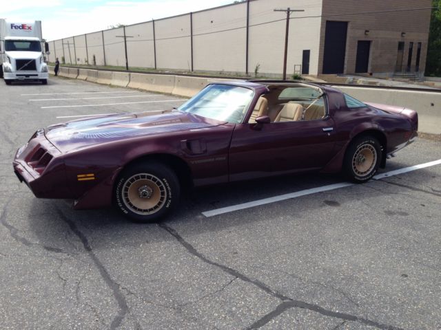1981 pontiac firebird trans am 4.9l turbo frame off fully restored 81k miles