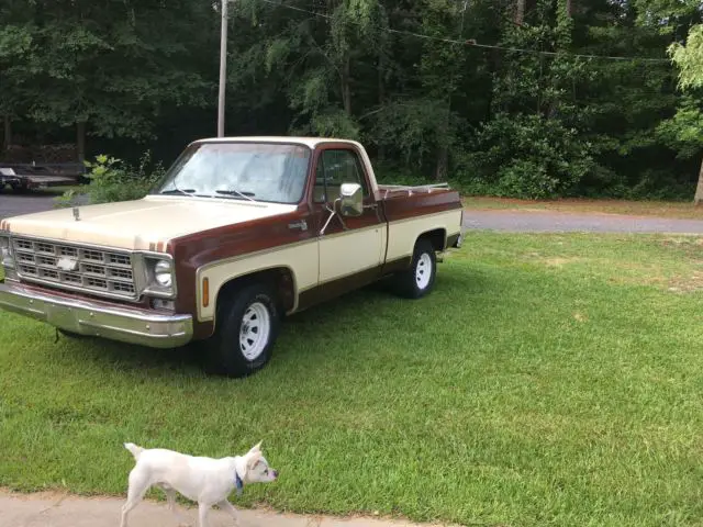 1977 silverado swb orignal paint