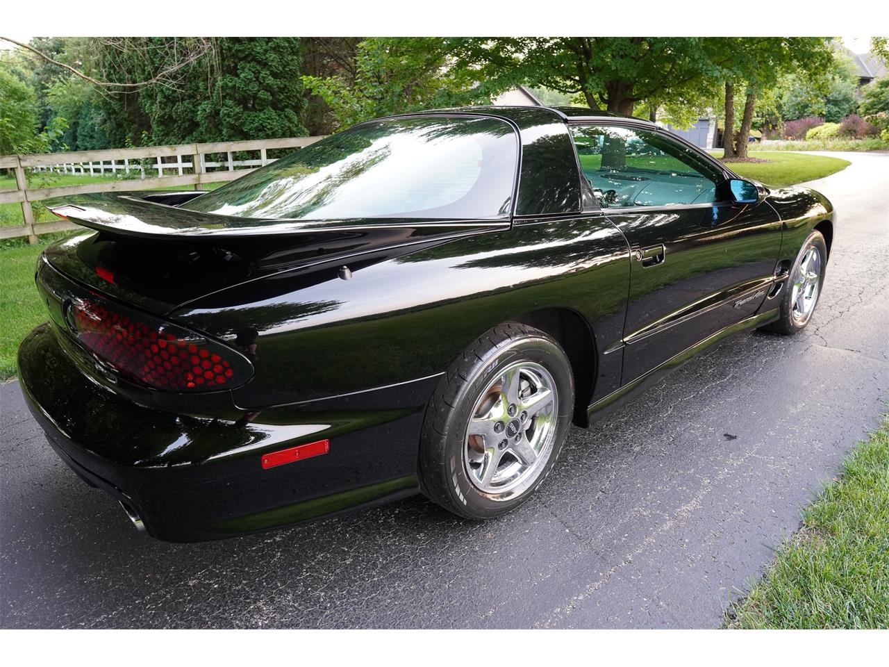 1998 pontiac firebird trans am