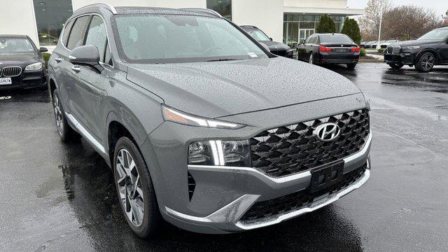2023 hyundai santa fe calligraphy