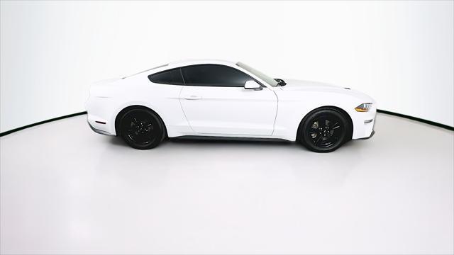 2023 ford mustang ecoboost