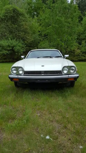 jaguar xjs white 1988 v12 great condition
