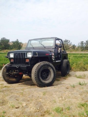 1994 jeep wrangler se sport utility 2-door 4.0l a true champ, no problems at all