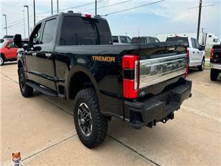 2024 Ford F-250 platinum
