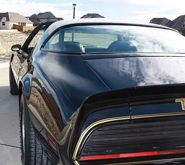 1979 pontiac trans am true y84 special edition t-top